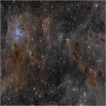The Iris Nebula in a Field of Dust