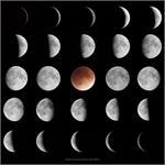Astronomy Picture of the Day: Phases of the Moon