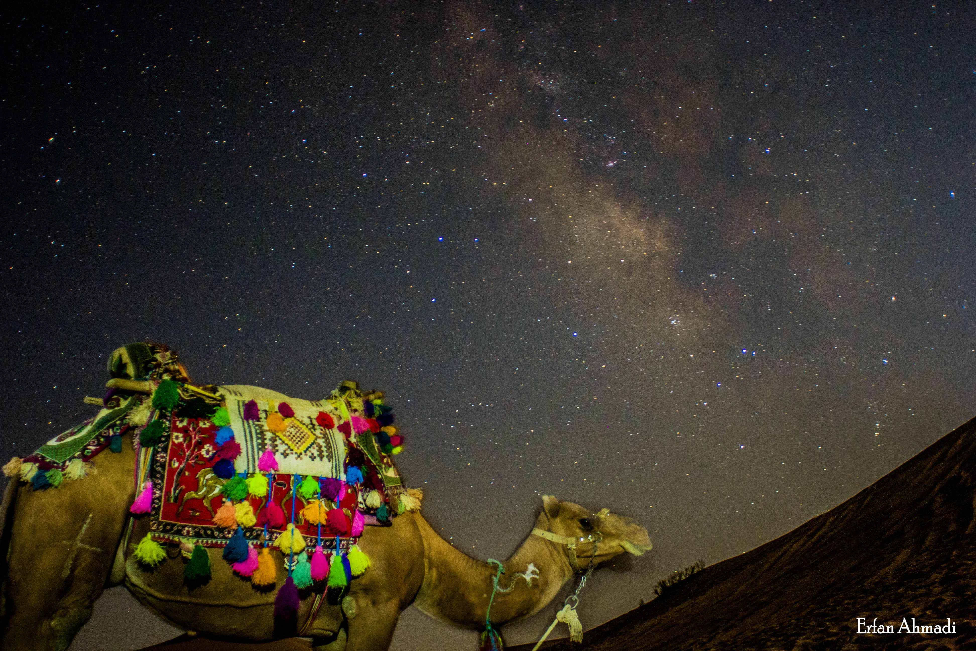 آسمان کویر لوت در شب