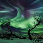 Astronomy Picture of the Day: Creature Aurora Over Norway