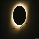 Birds During a Total Solar Eclipse