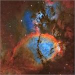 IC 1795: The Fishhead Nebula