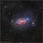 Messier 63: The Sunflower Galaxy