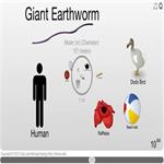 Astronomy Picture of the Day: The Scale of the Universe - Interactive