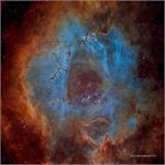 Astronomy Picture of the Day: When Roses Aren't Red