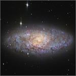 Astronomy Picture of the Day: NGC 253: Dusty Island Universe