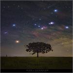 Orion Rising over Brazil