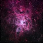 Astronomy Picture of the Day: The Tarantula Nebula