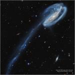 Astronomy Picture of the Day: Arp 188 and the Tadpole's Tail