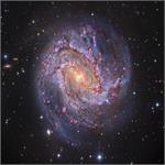 M83: The Thousand-Ruby Galaxx