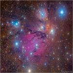 NGC 2170: Angel Nebula Still Life