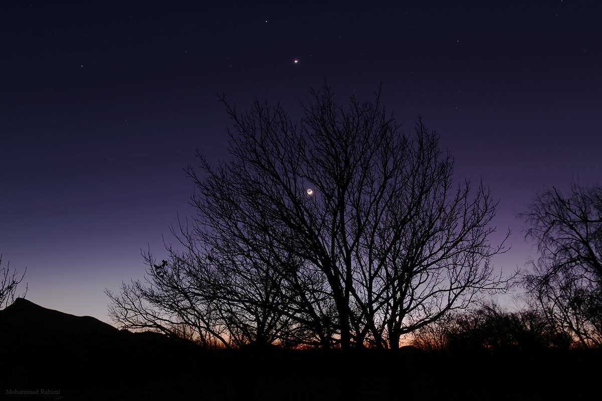 The moon and venus