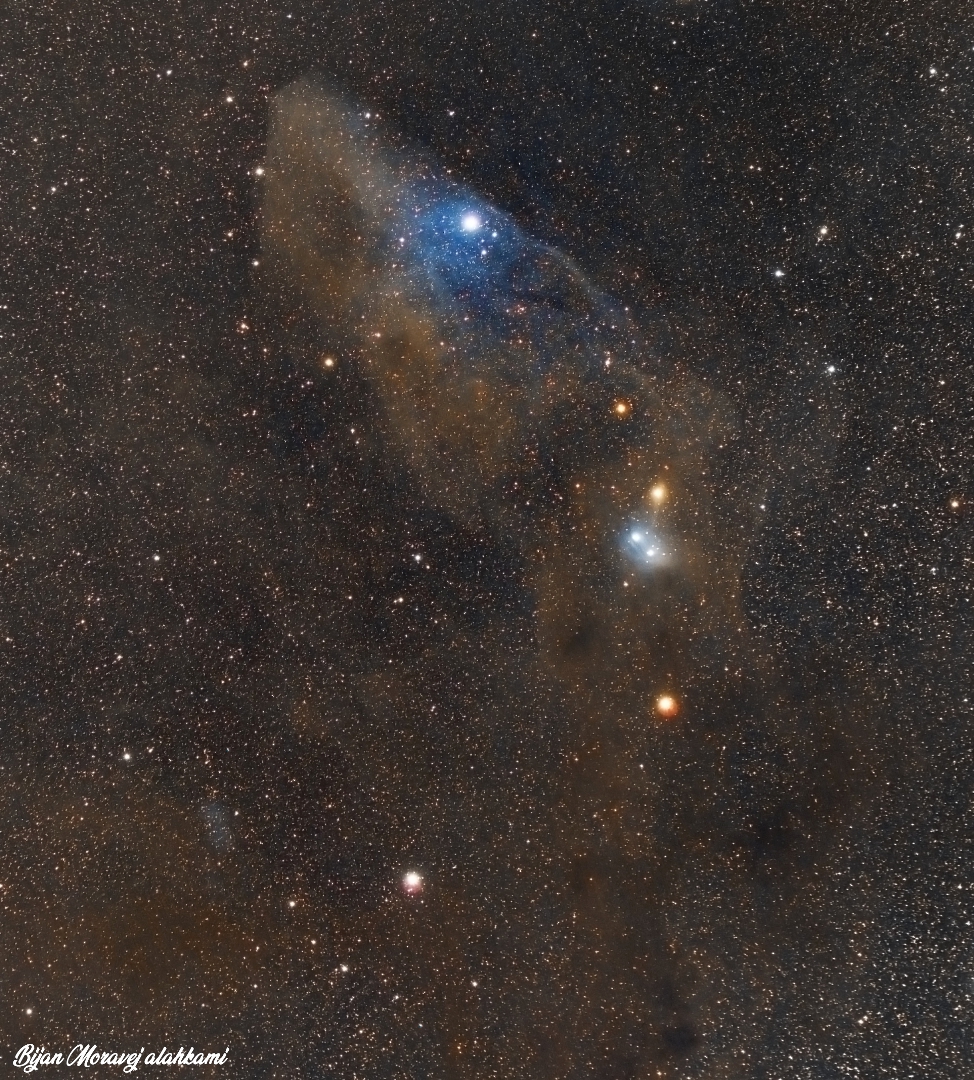 Blue Horsehead Reflection Nebula