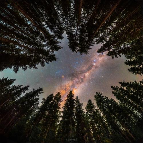 قاب شده با درختان: پنجره‌ای رو به کهکشان