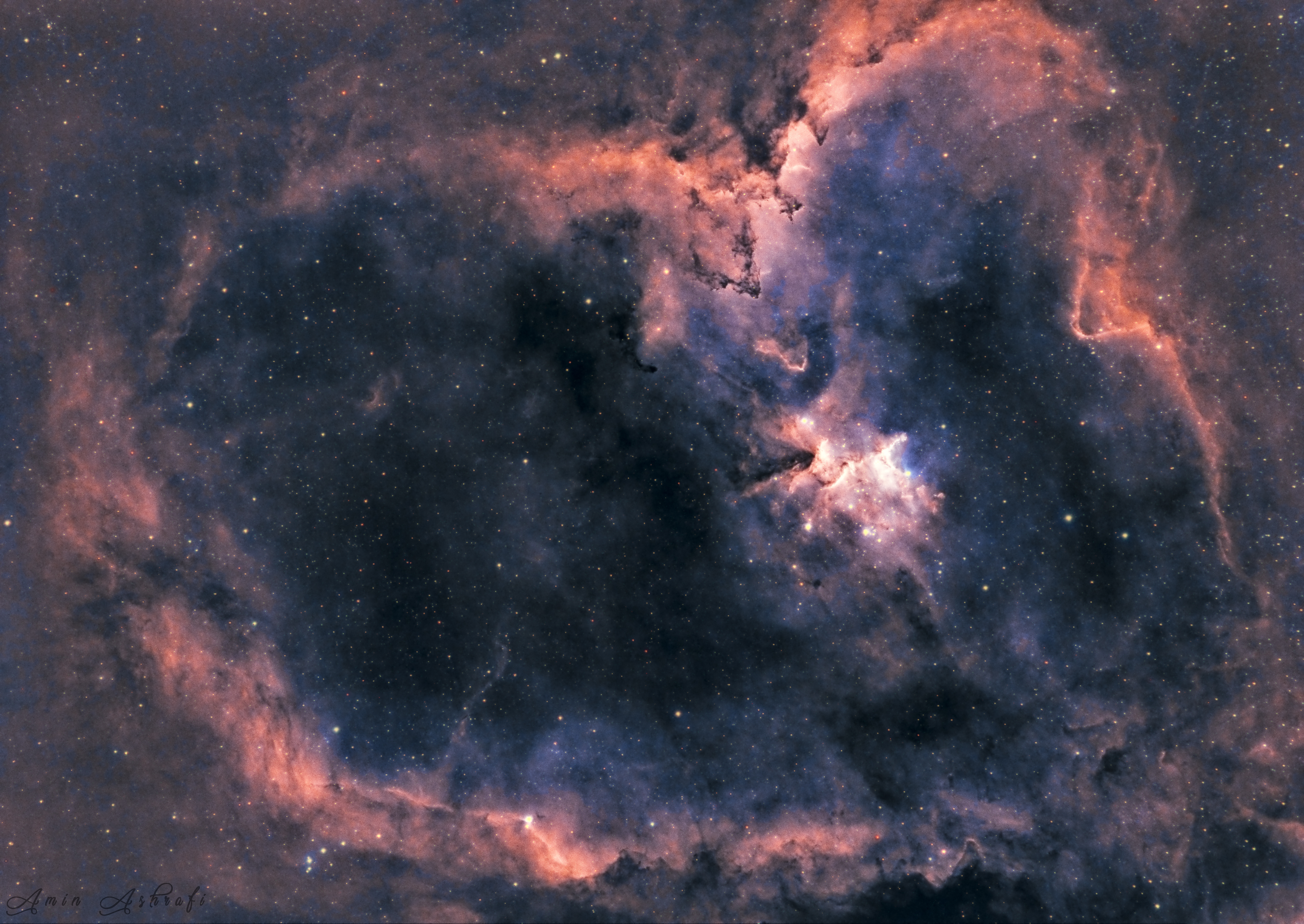 Heart Nebula - IC1805
