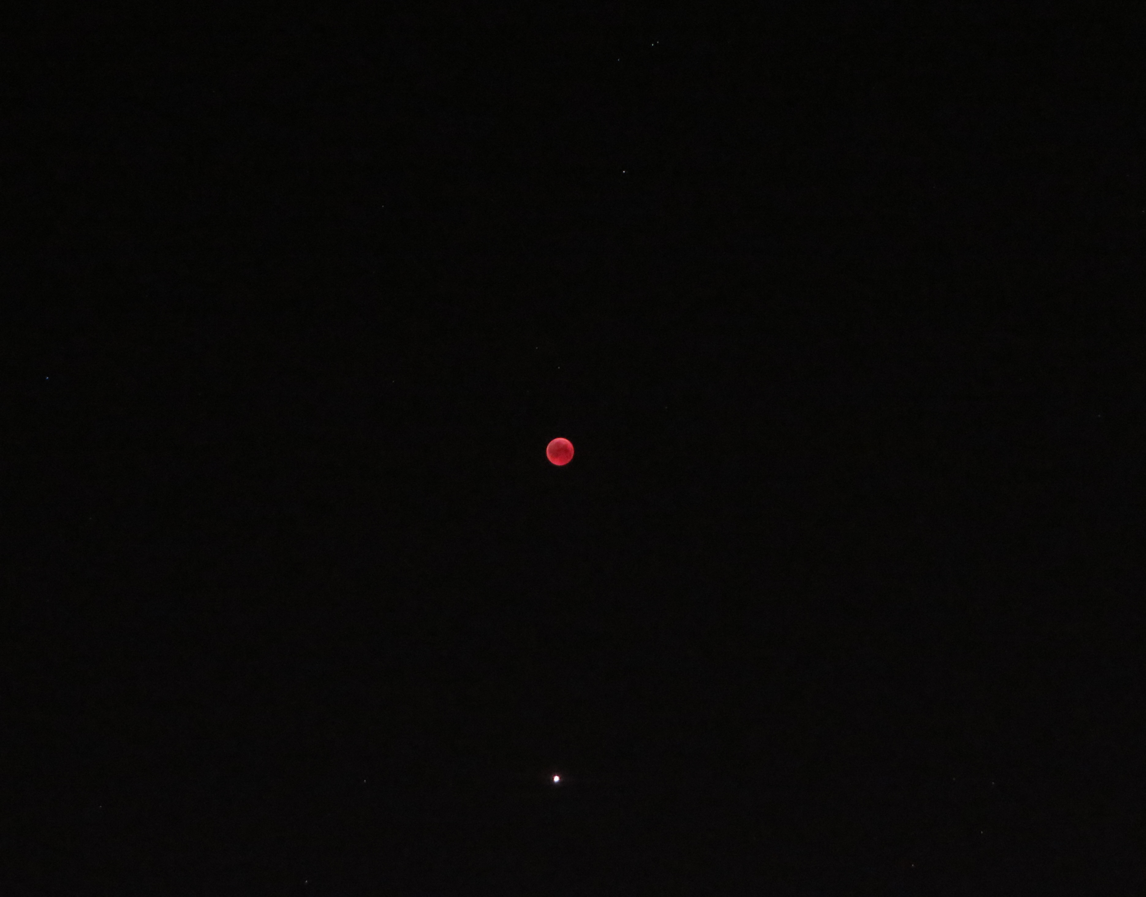 ماه سرخ و سیاره سرخ در صورت فلکی جدی