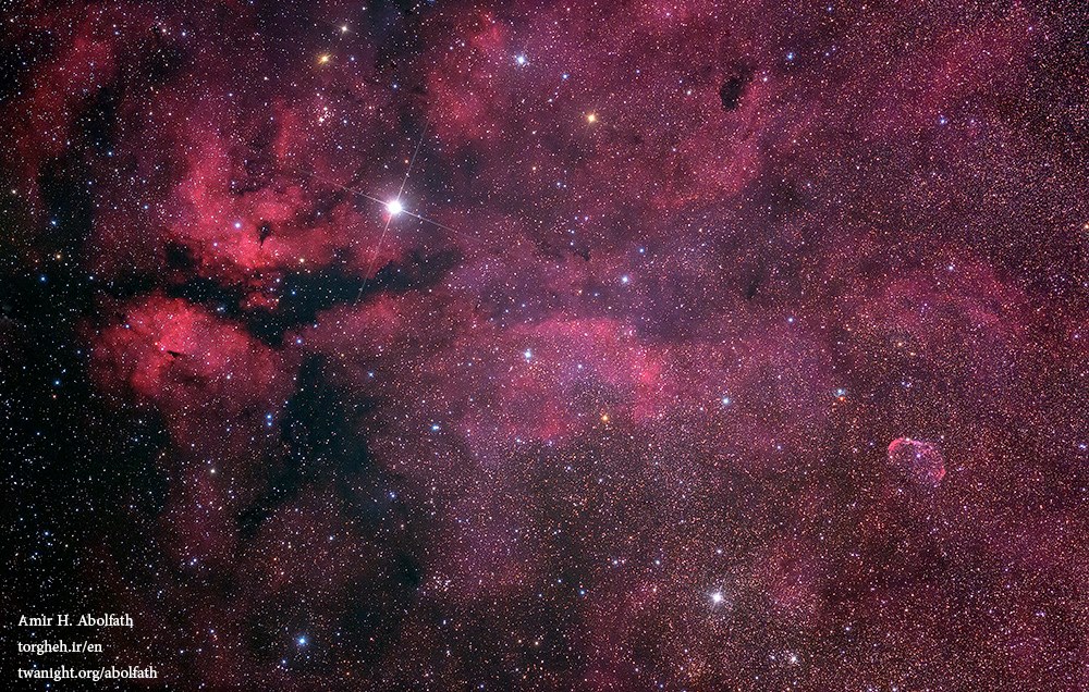 Gamma Cygnus and Crescent nebulae