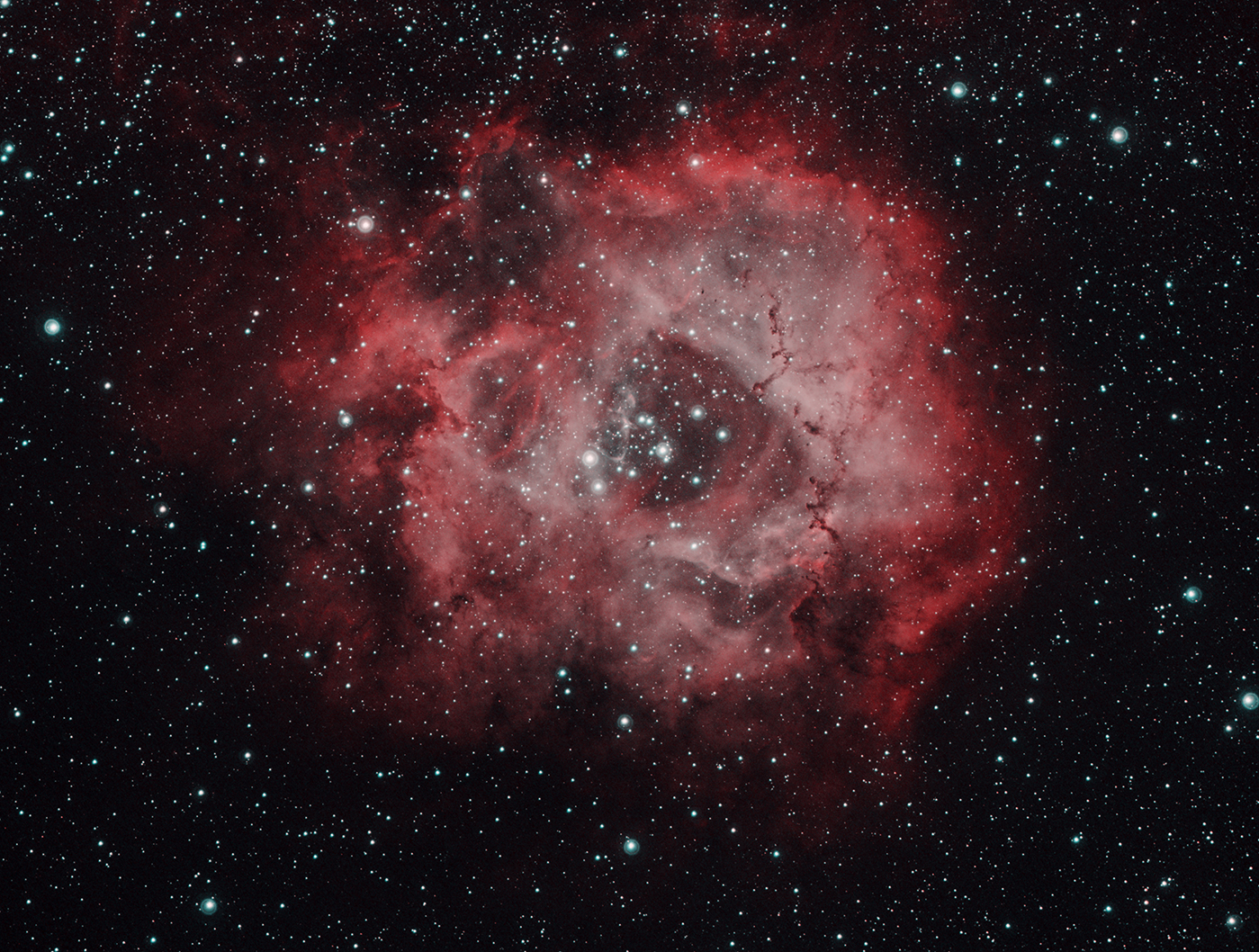 Rossette Nebula (Bicolor)