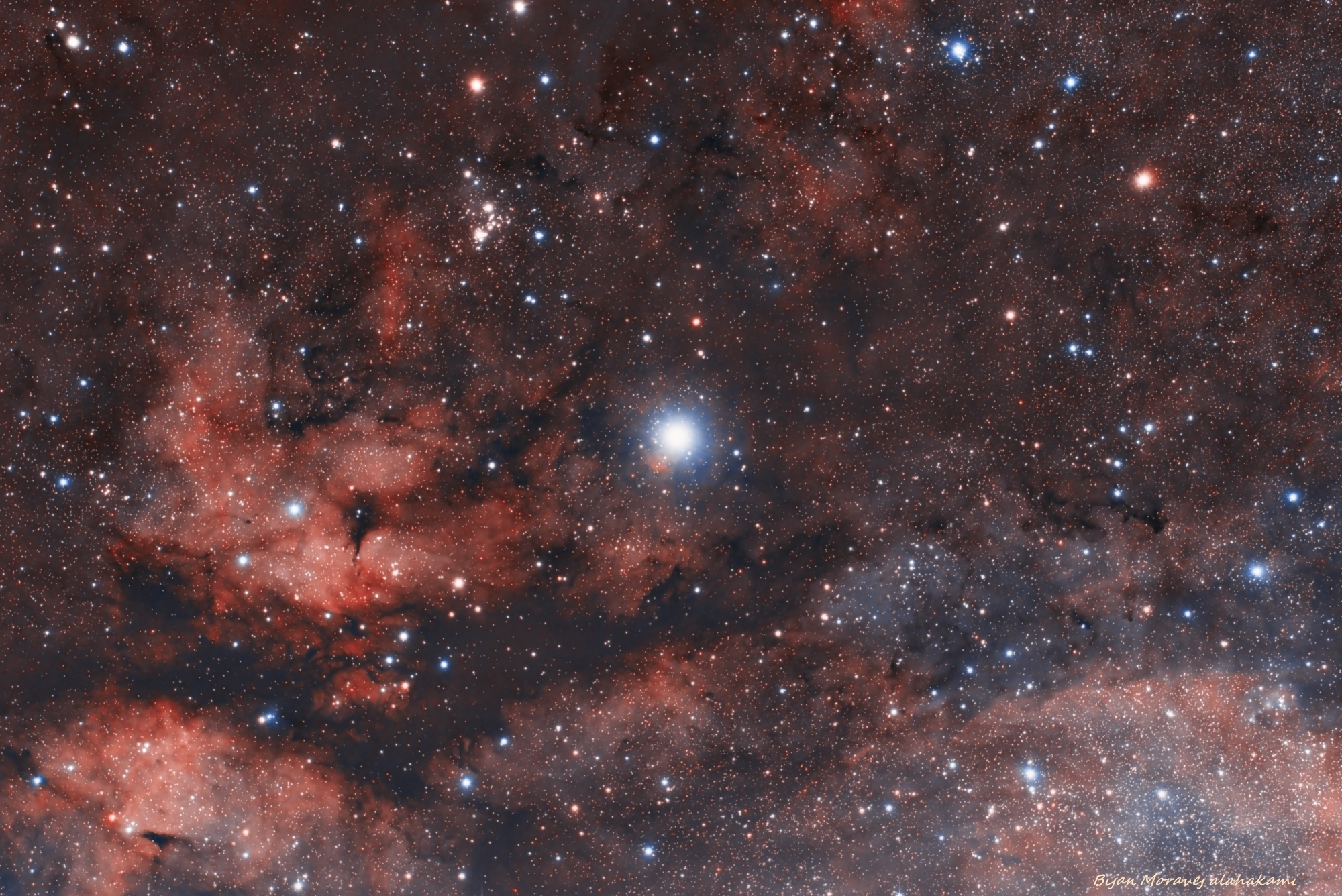 Gamma Cygni .IC1318 Butterfly Nebula
