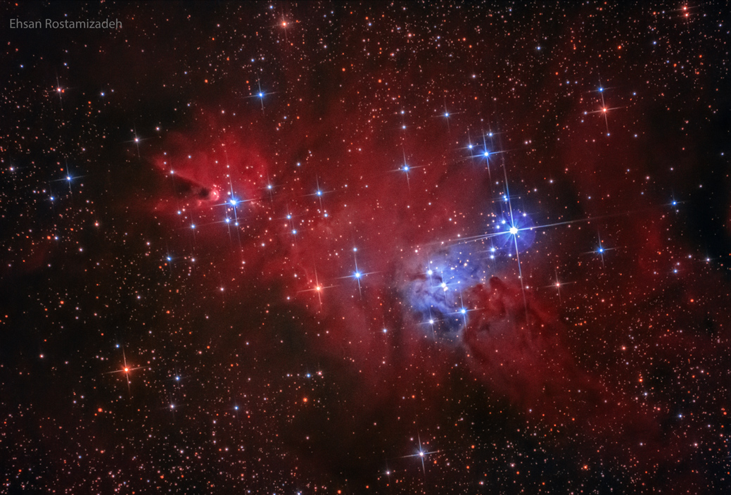 Christmas Tree Cluster & Cone Nebula