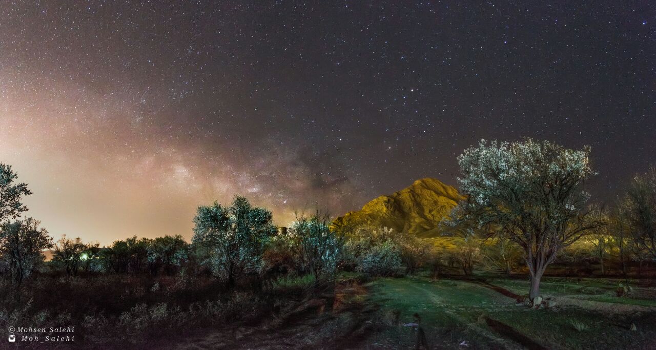 طلوع دوباه کهکشان در کنار شکوفه های بهاری
