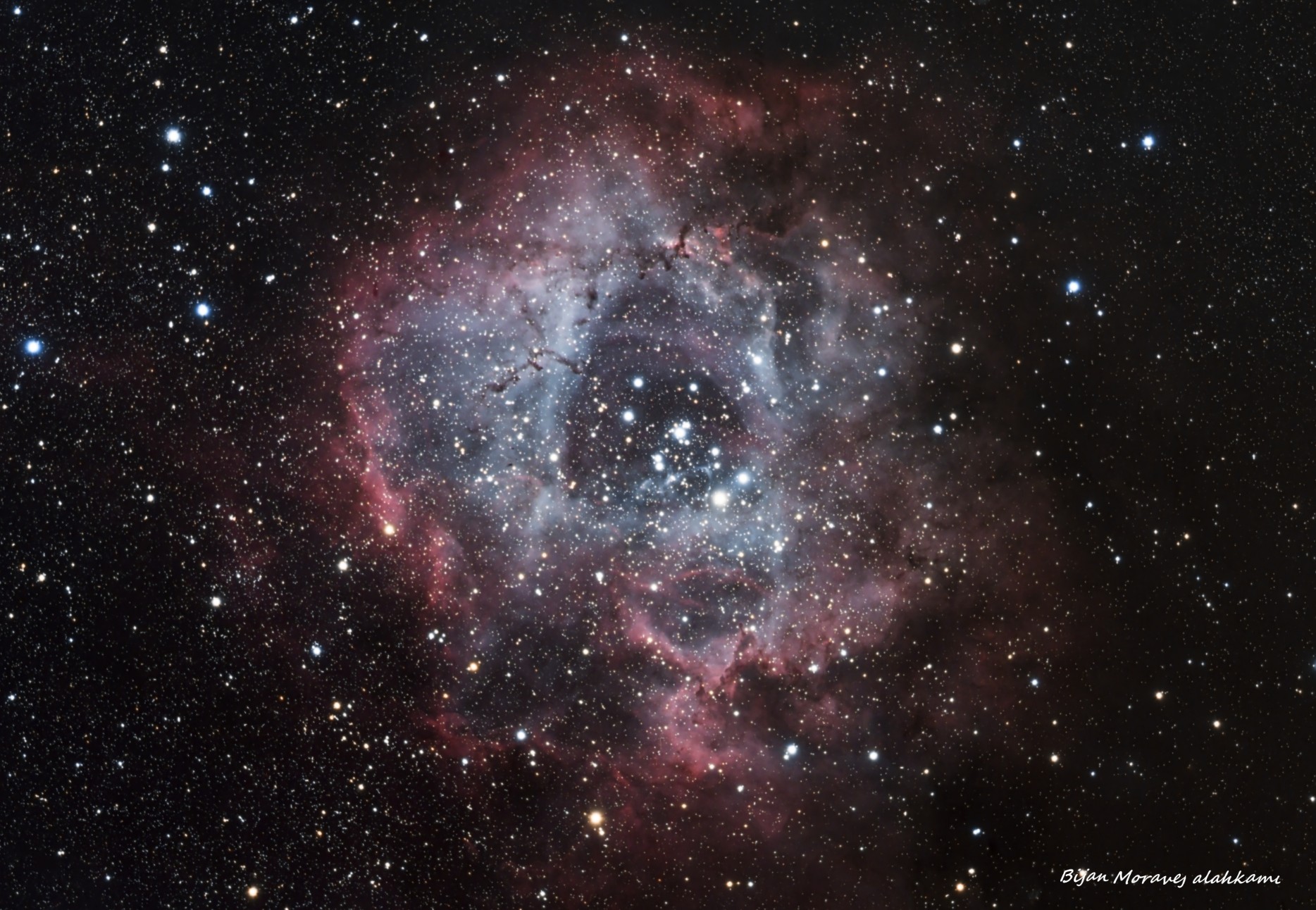 rosette nebula ngc 2244