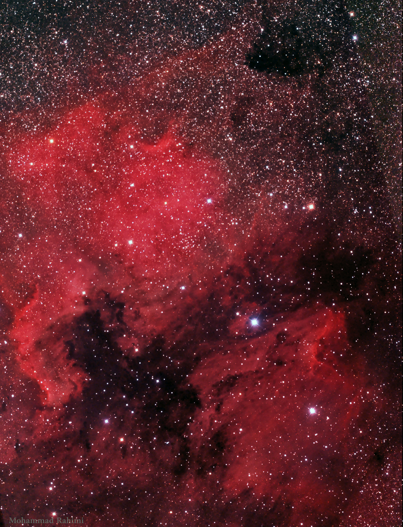 Region around NGC7000 ( North America Nebula )