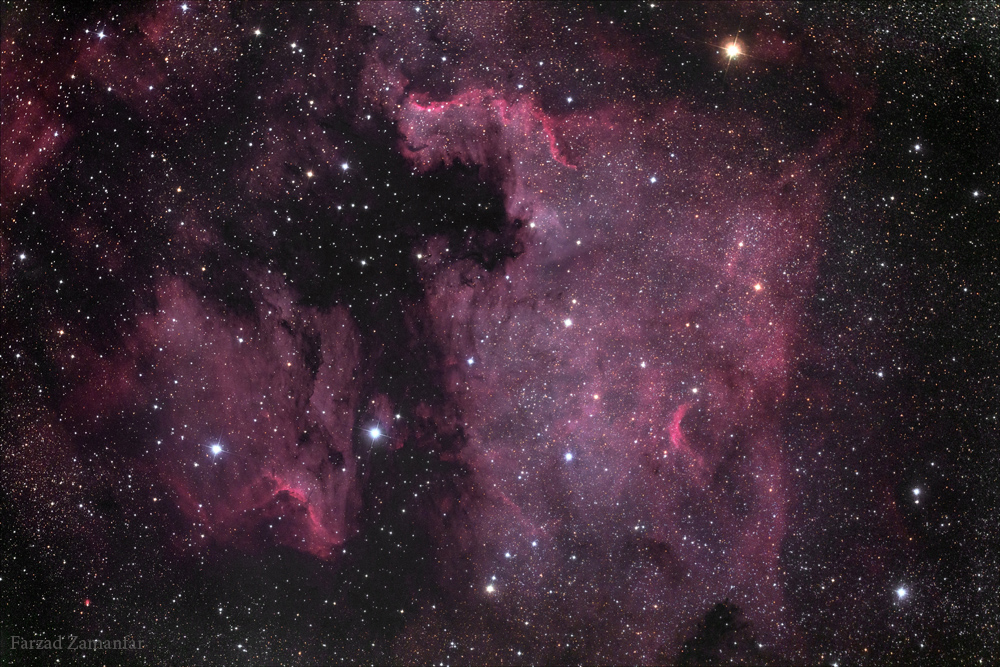 North America & Pelican Nebulas