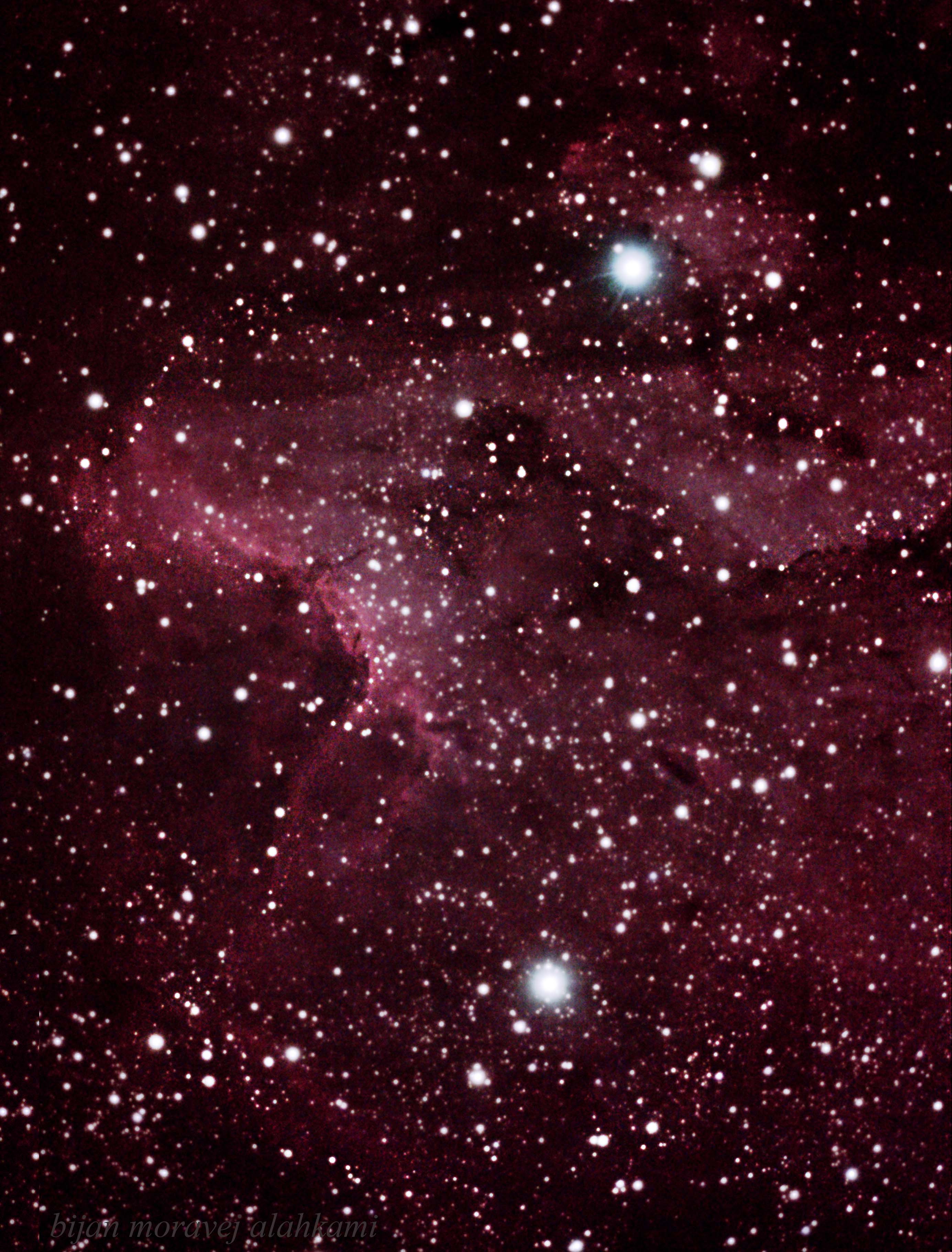 سحابی پلیکان .pelican nebula  ic 5070